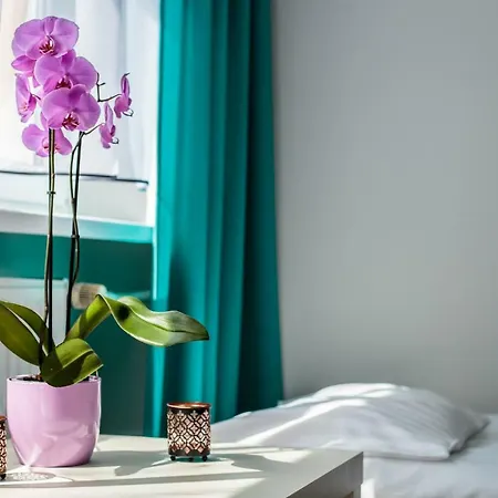 Sunset ホームステイ ミエルノ