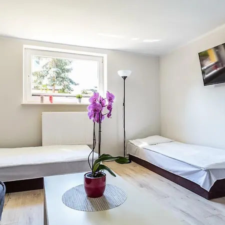 Sunset ホームステイ ミエルノ